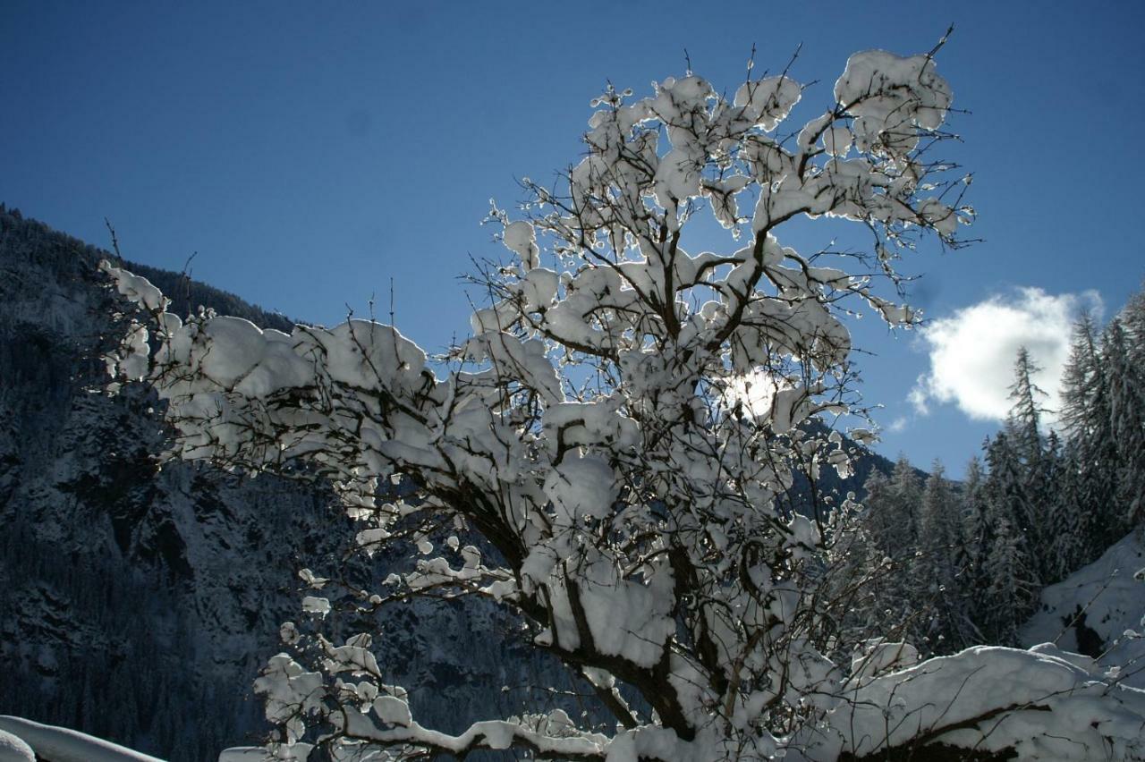Des Alpes 2 Lägenhet Canazei Exteriör bild